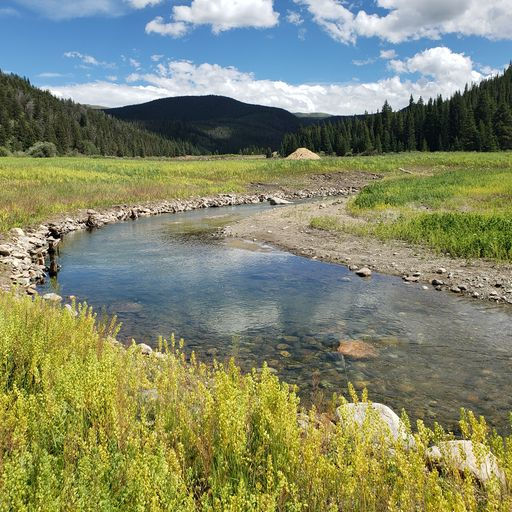 Rewilding and Earth Day