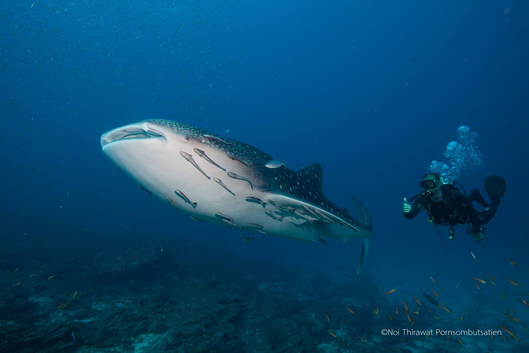 Andaman02