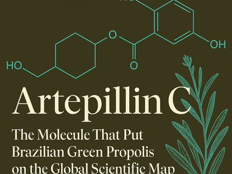 Artepillin C molecule and Alecrim-do-Campo leaves — symbol of Brazilian Green Propolis scientific research