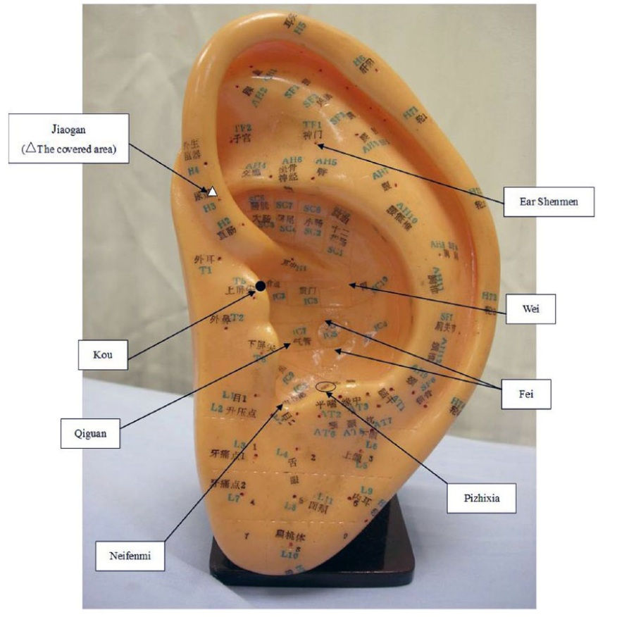 POST CIENTÍFICO Acupuntura no tratamento do tabagismo