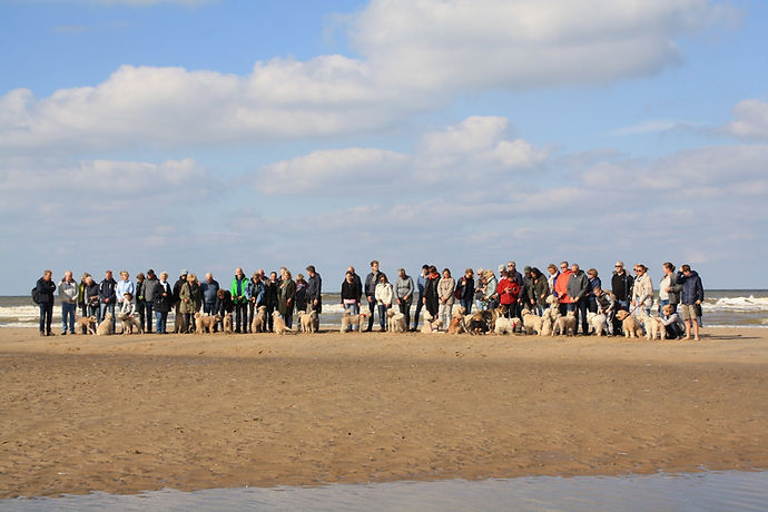 strand 2018.jpg