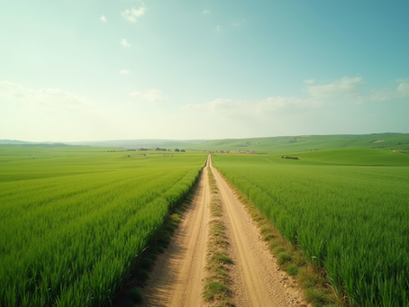 Fotografia com drone: Momentos únicos capturados com qualidade
