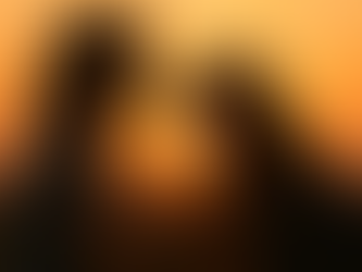 Os animais são mestres silenciosos: o que eles nos ensinam sobre amor incondicional