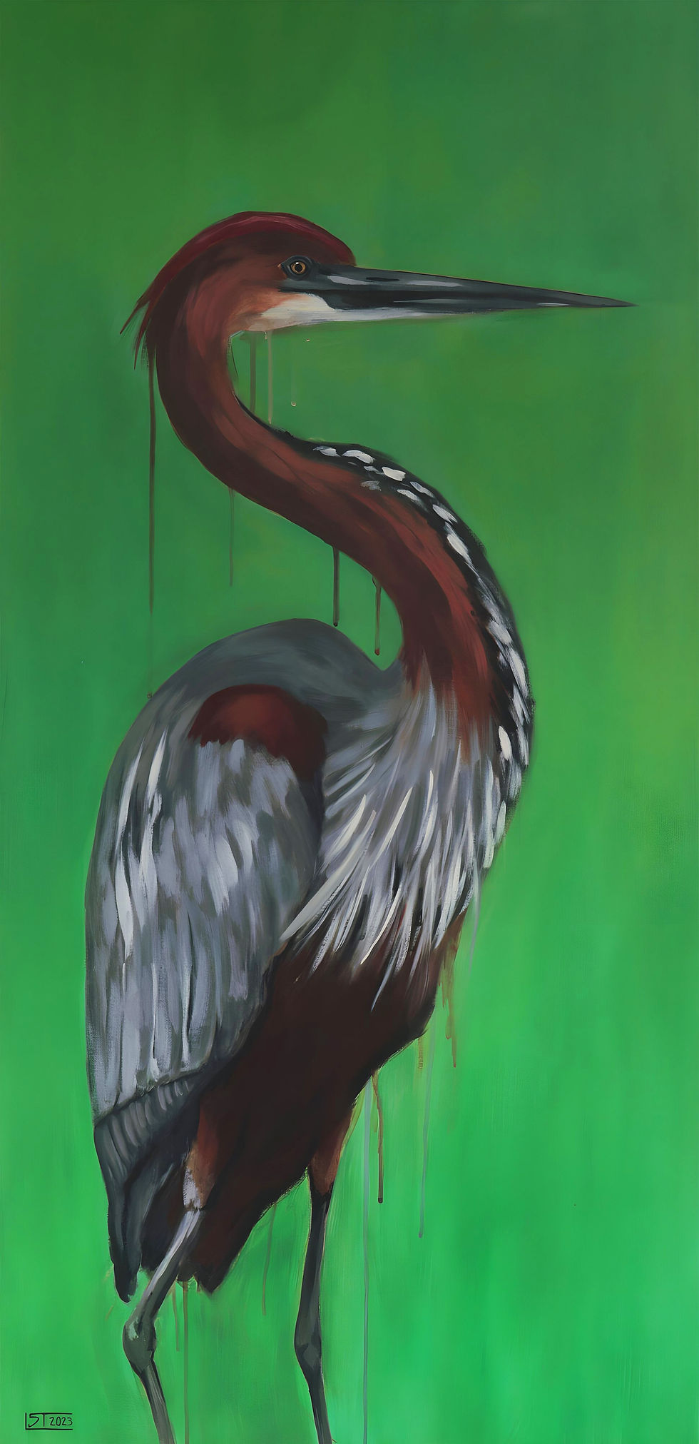 Ardea goliath