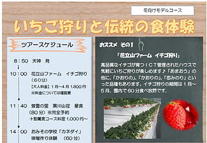 ツアー.png