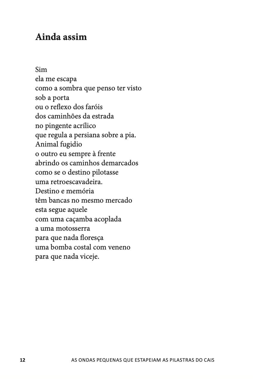 Miniatura: As ondas pequenas que estapeiam as pilastras do cais - Luiz Divino do Lago