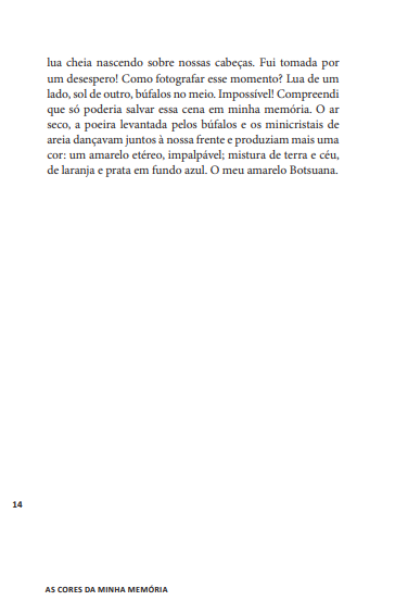 Miniatura: As cores da minha memória - Cláudia Marchiò