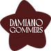 Damiano Gommers - LOGO Star