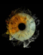 Untitled (Instagram Post (45)) 3.JPG