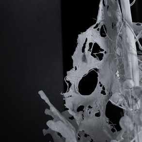 2f873045-6e5a-461a-a337-7f5012c0b9d8.jpeg