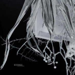 1b53e044-d39a-4159-a84e-e46c003b5f30.jpeg