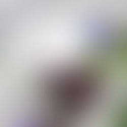 花禮設計課程