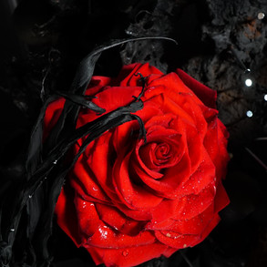 641c58ce-8cb3-4cc6-8f50-4fa60bacbe72.jpeg