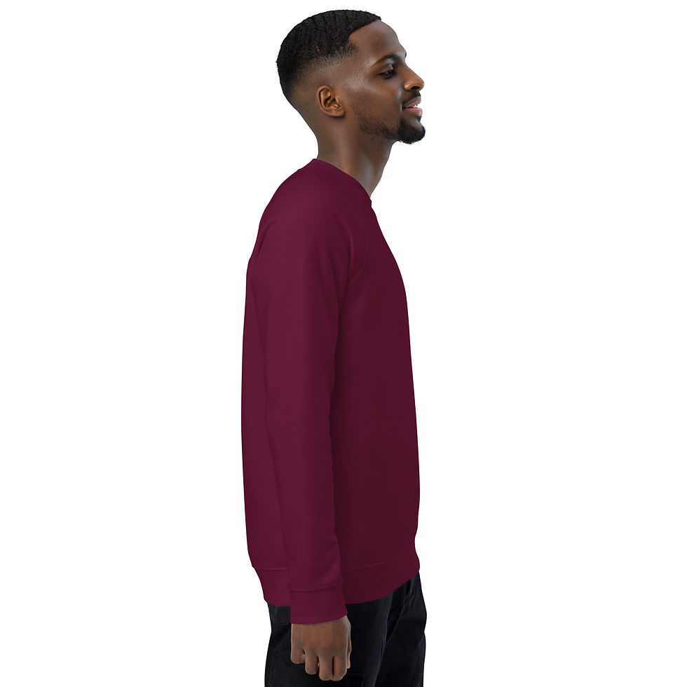 Miniature : Unisex organic raglan sweatshirt