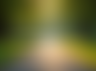 Evidence-Based Techniques to Boost Your Mental Health