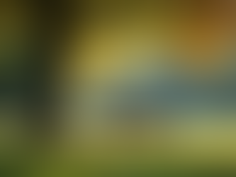 The Importance of Prioritizing Your Mental Well-being