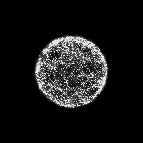 populate black and white GIF by Mathew Lucas .gif