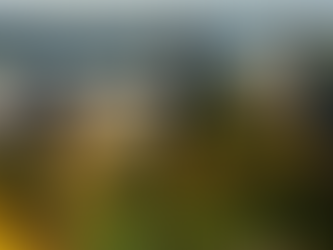 Dr. Yildiz Begins Research at Cornell University!