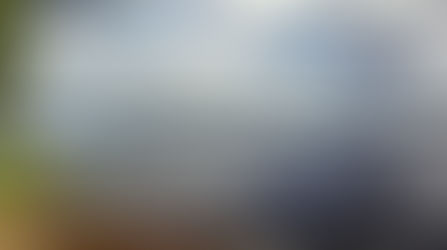 gardengaia went to lapland