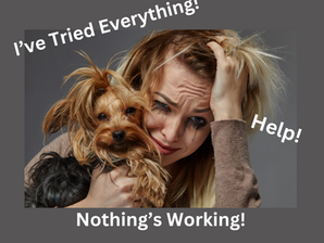 Dog Training - When You've Tried Everything