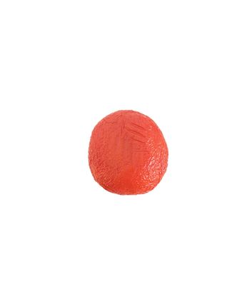 Reset & Rise by Sanaz Zaresani