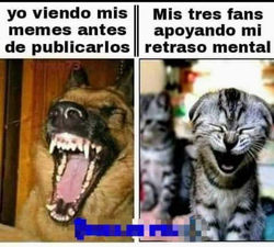 FB_IMG_1605653646739