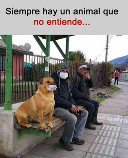 Dods parrafos 01 (7)