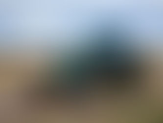 John Deere 6410 SOLD to Bowral NSW