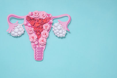 AdobeStock_329315129.jpeg