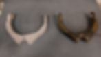 IMAG8520.jpg