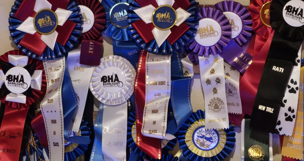 Capture d’écran, le 2025-06-14 à 11.04.42.png