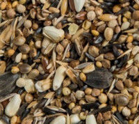 Thumbnail: Goldfinch premium seed mix 13.2 lbs- 6kg (cardellini)