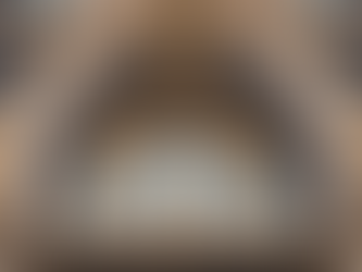 Unforgettable Opera Tours in Germany