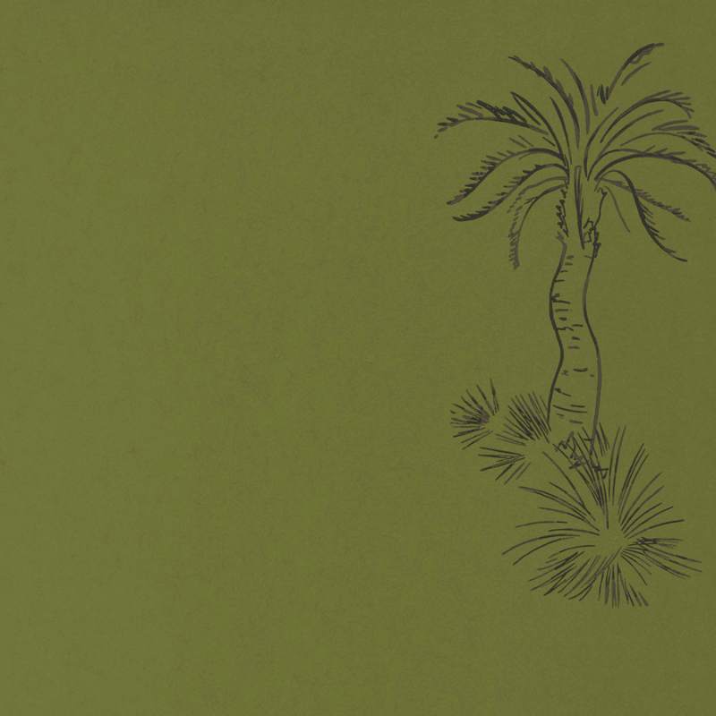Paint and Paper Library - Lighthouse Palm - Chelsea Green - Wallpaper