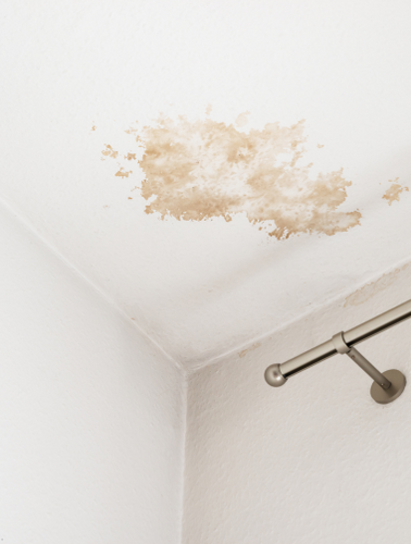 Stain blocking and sealing paints such as Zinsser Bin and Zinsser Bin Aqua to hide water stains and mould.