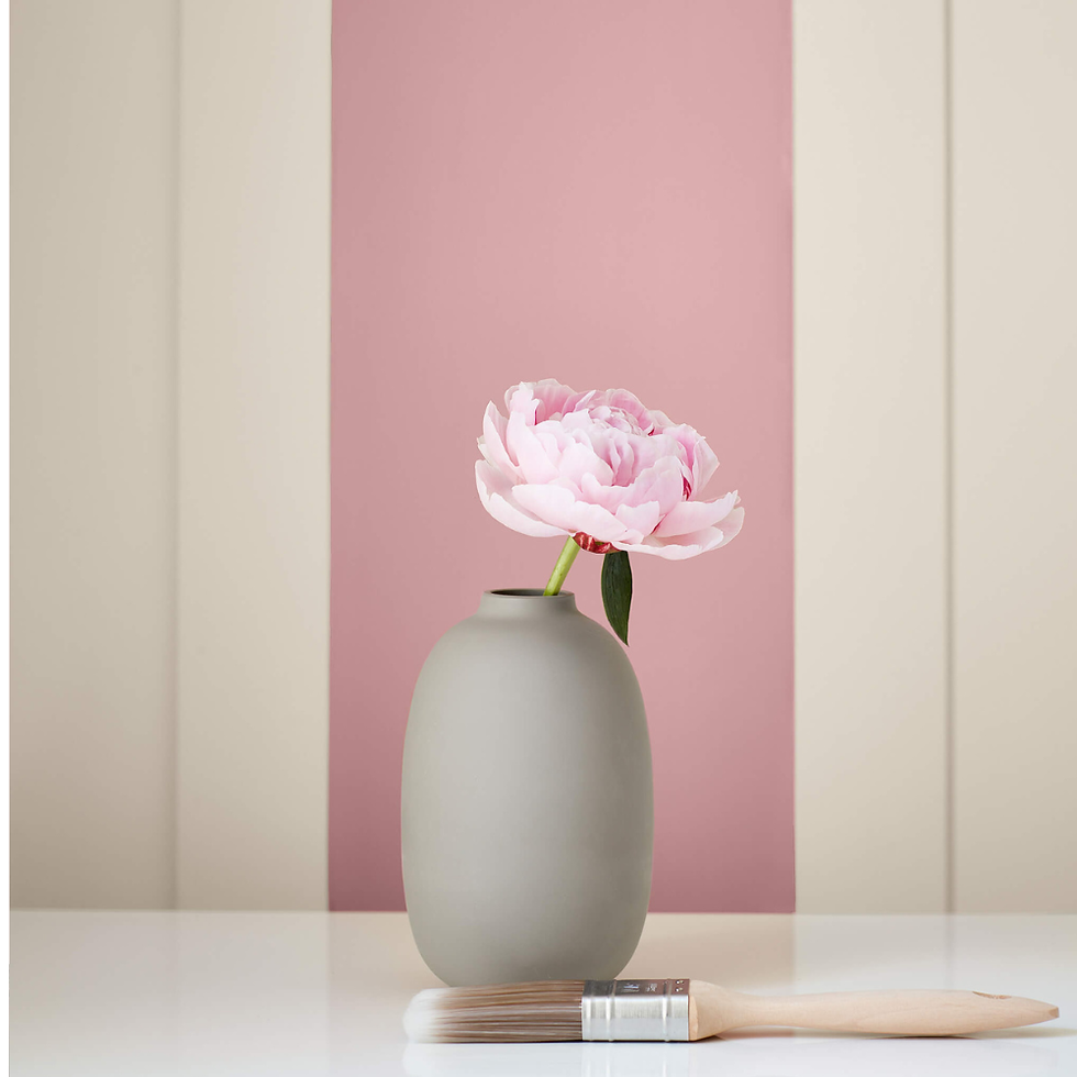 Thumbnail: Little Greene Hellebore 275
