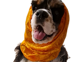 external-file_edited.png