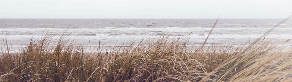Sea Grass