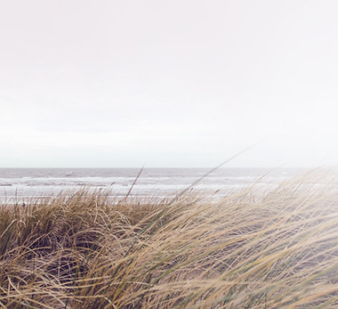 Sea Grass