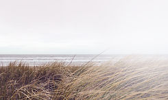 Sea Grass
