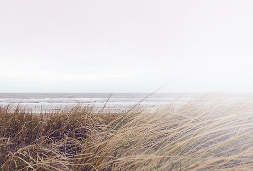 Coastal Grass View