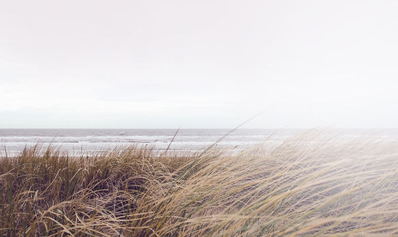 Sea Grass