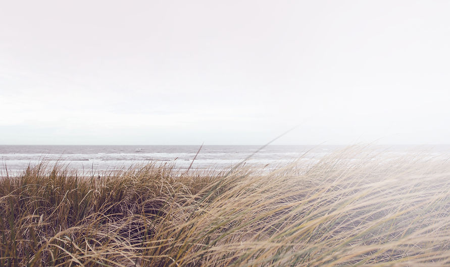 Sea Grass