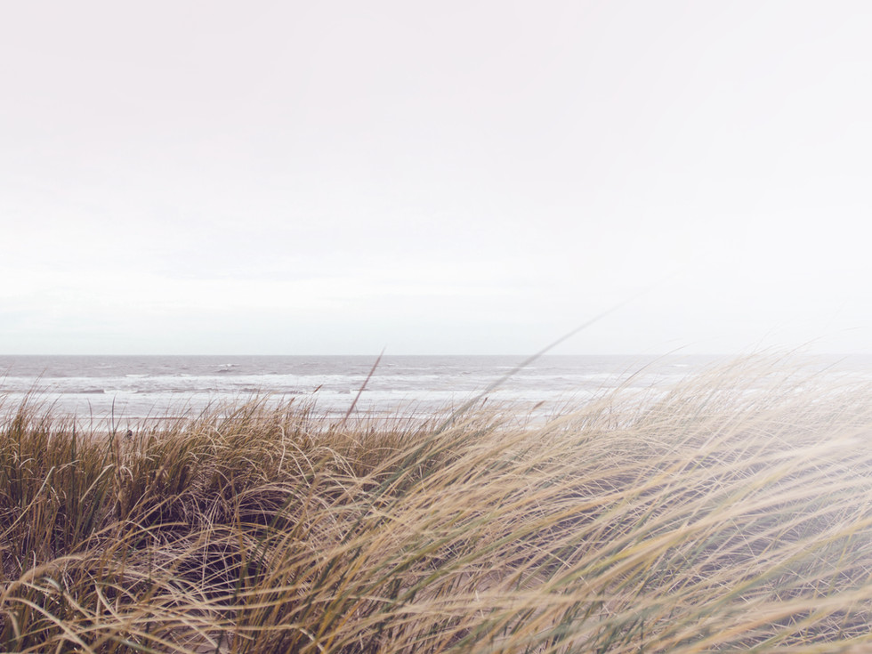sea-grass