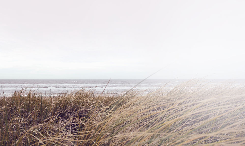 Sea Grass