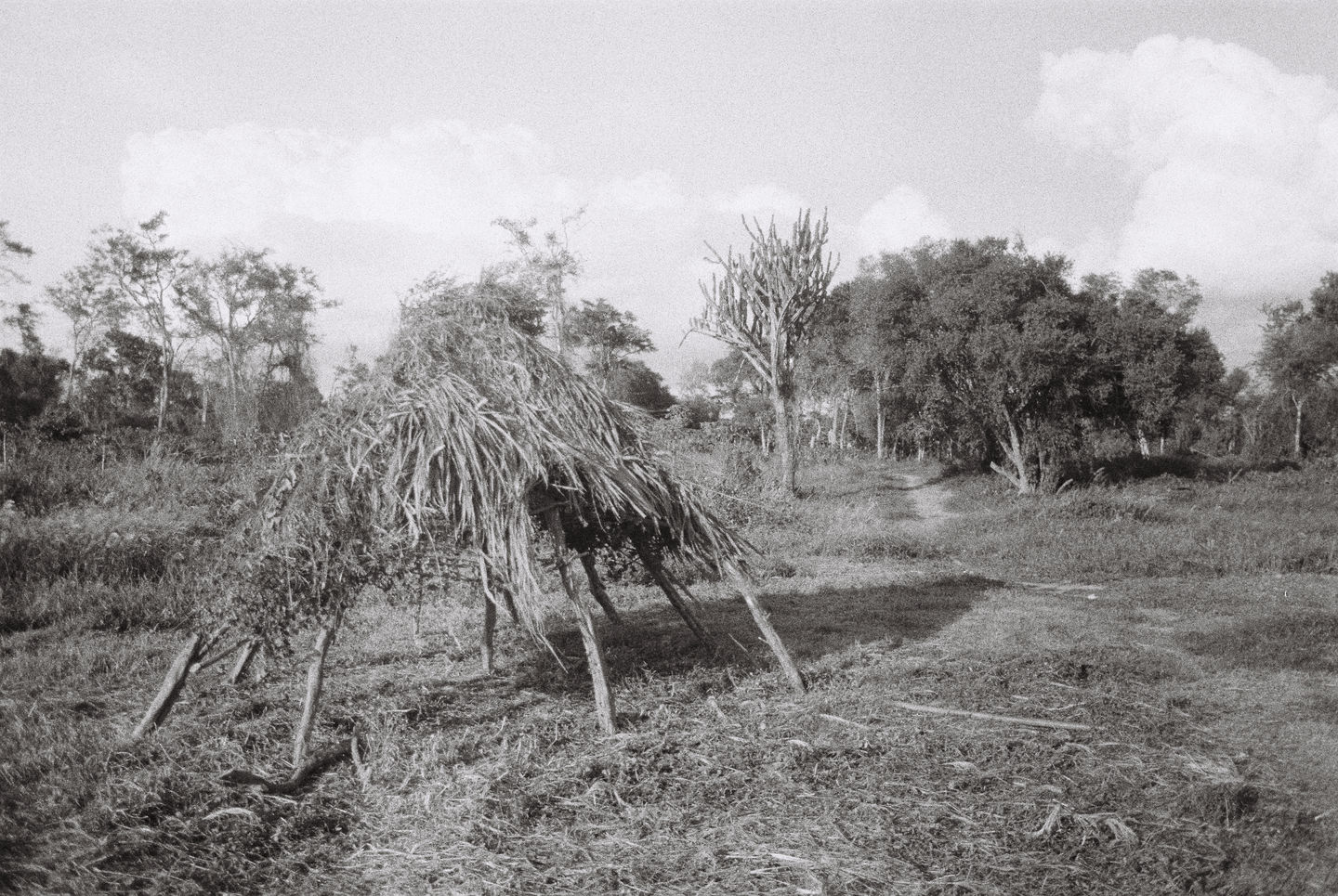 R1-01287-0017.JPG