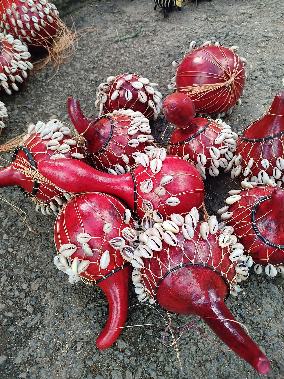 Miniatura: Gourd Art with Cowrieshell