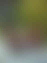 Traditional African furniture