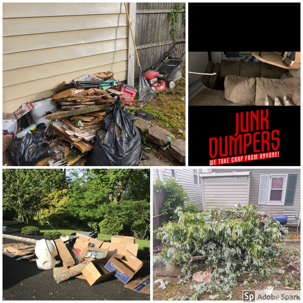 Mini dumpster on wheels rental