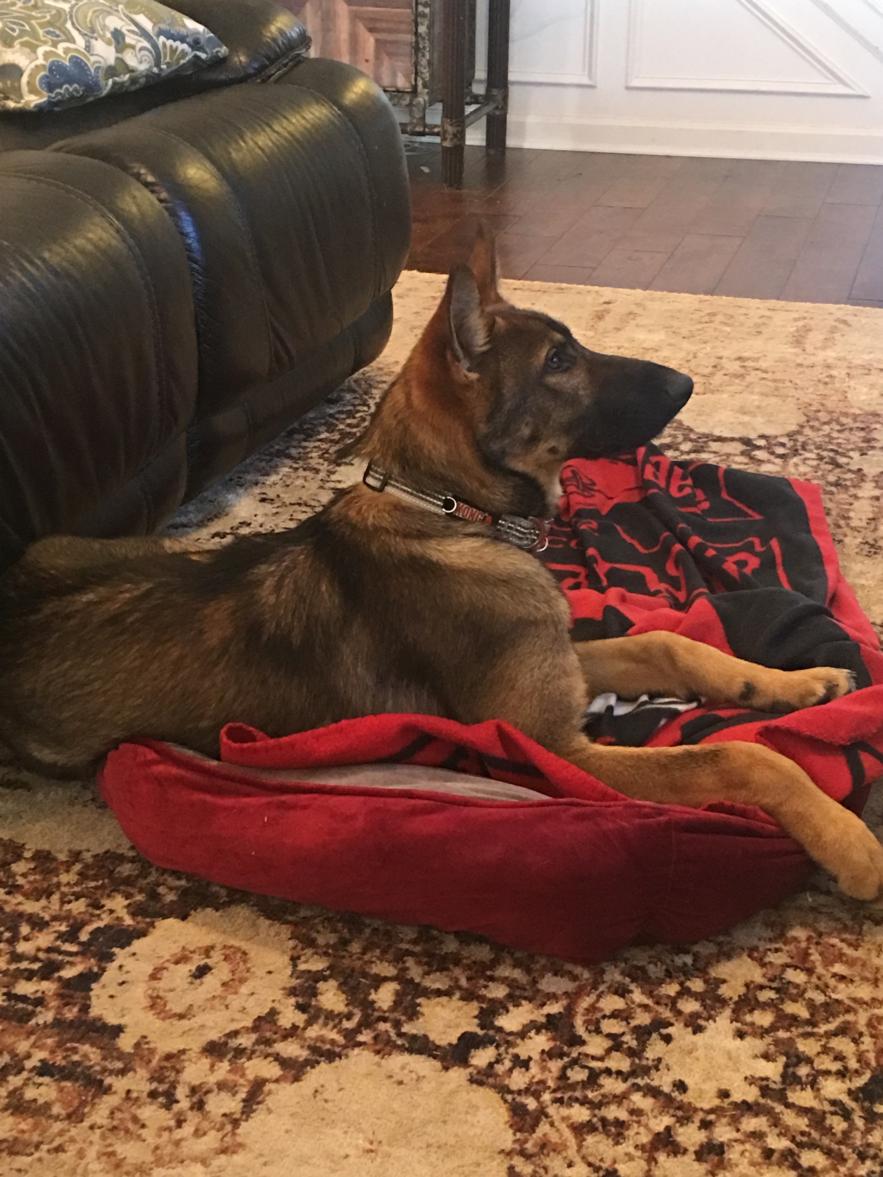 Ringo